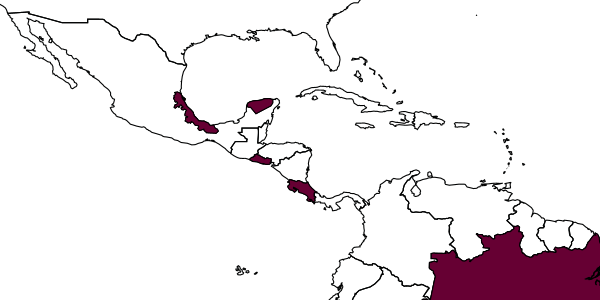 map of Neotheronia charli     Gauld, 1991